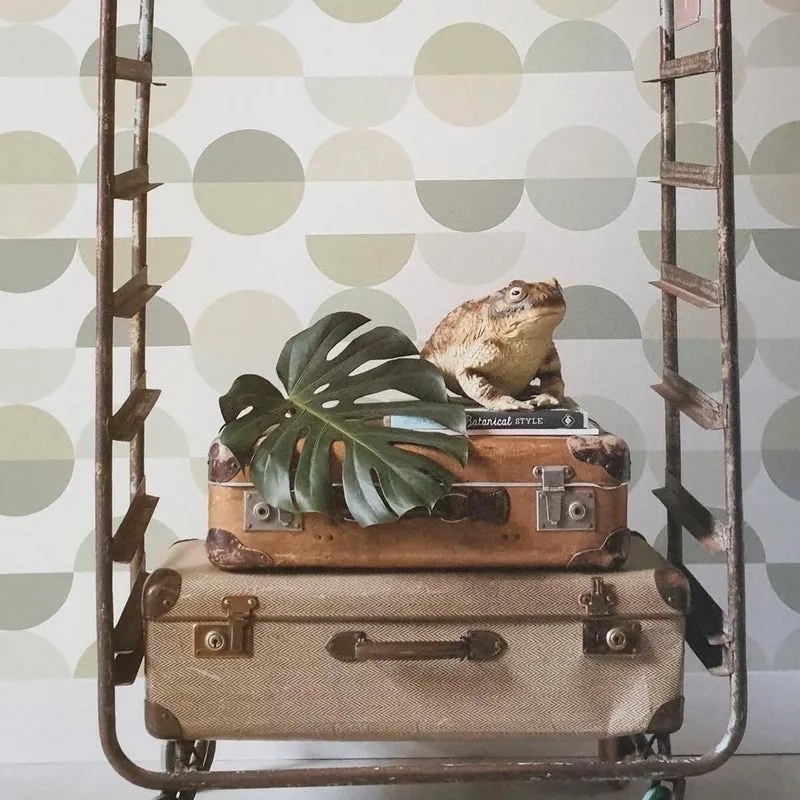 Fotomurale ESTA Semicerchi, verde 139X280 cm