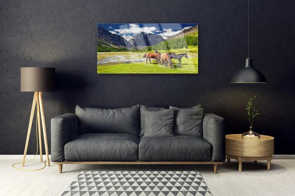 Quadro su vetro acrilico Montagne, alberi, cavalli, animali 100x50 cm