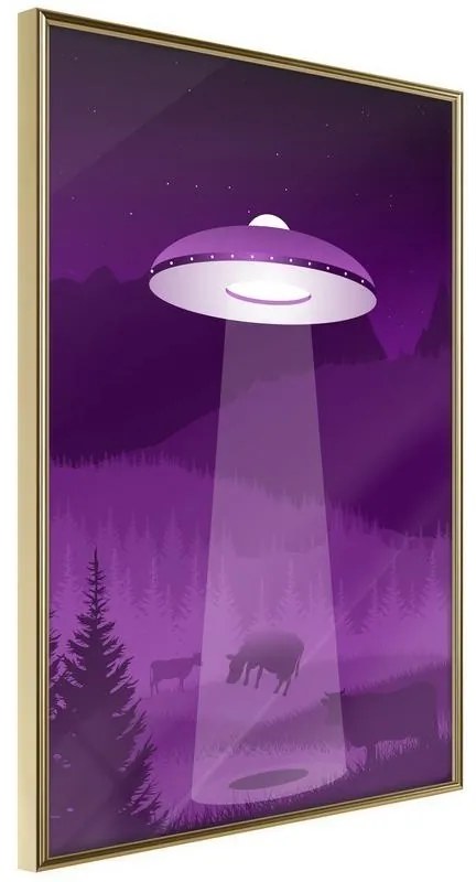 Poster  Flying Saucer  Cornice Quadri Cornice d'oro, Larghezza x Altezza Home decor 20x30