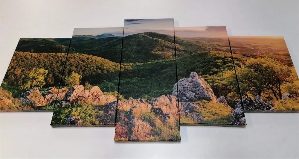 Quadri 5 pezzi – Natura baciata dal sole