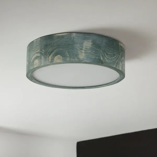 Brilagi - Lampada da soffitto PINO 1xE27/15W/230V pino/verde diam. 27,5 cm