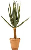 Aloe, pianta artificiale con vaso 96 cm