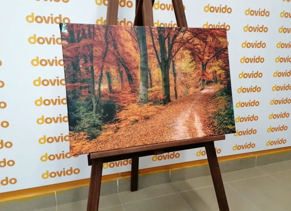 Stampa su tela – Foresta in autunno