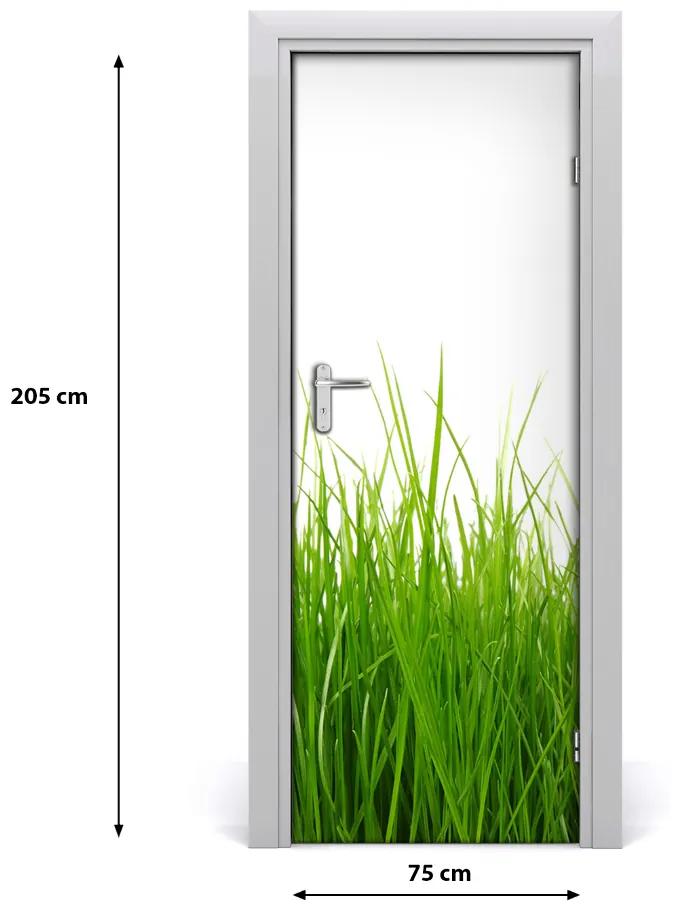 Adesivo per porta interna erba verde 75x205 cm