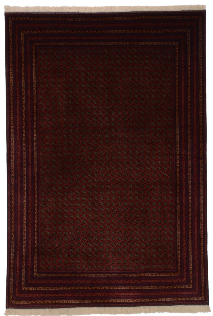 Afghan Tappeto 200 x 300 (Afghanistan) Annodato A Mano