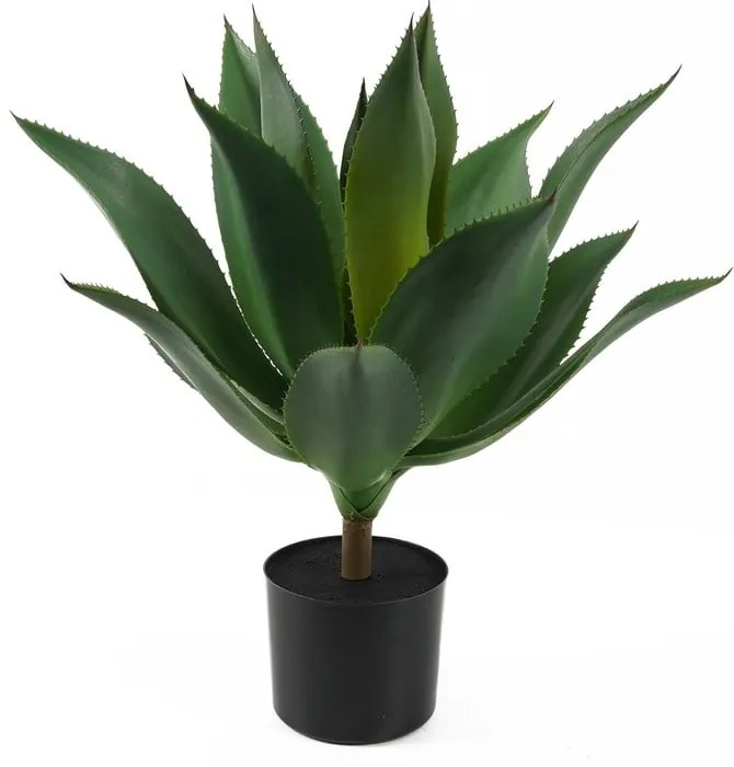 Succulenta artificiale (altezza 56 cm) - PT LIVING
