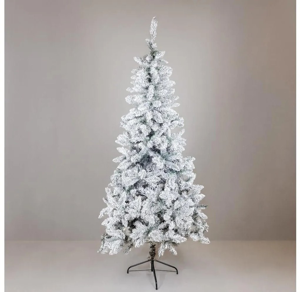 Albero di Natale SCOTLAND 210 cm, abete