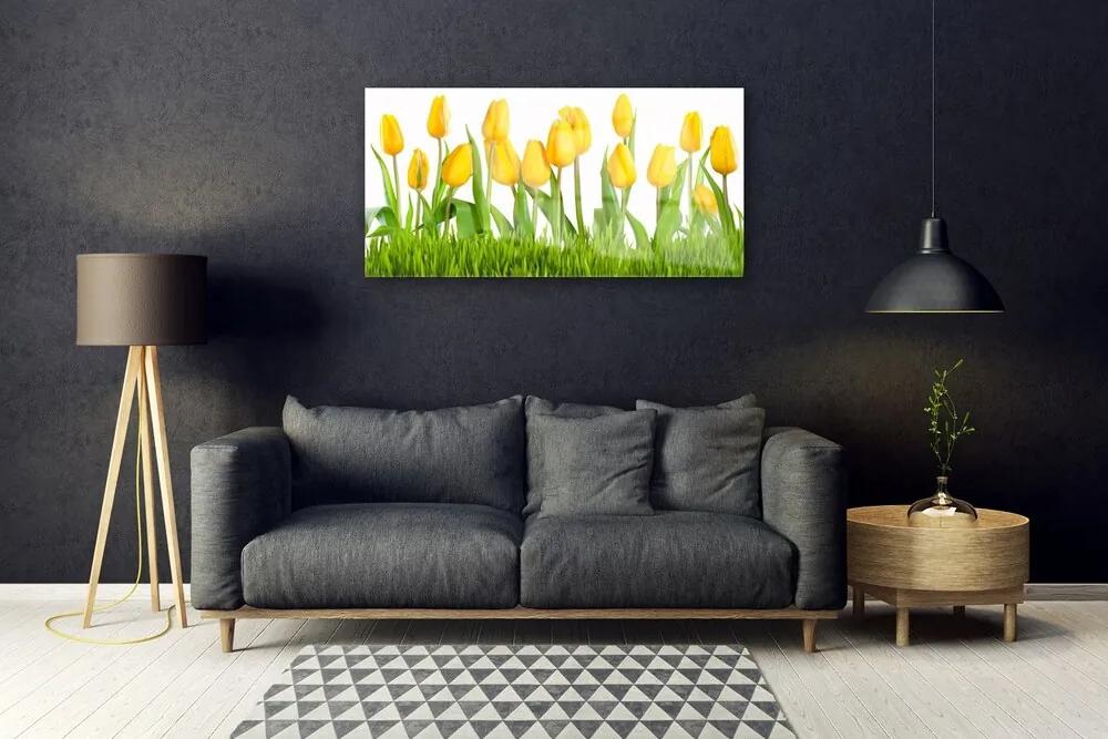Quadro acrilico Tulipani Sul Muro 100x50 cm