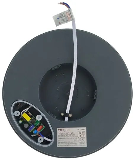 Plafoniera LED con sensore di movimento LED/20W/230V 3000/4000/6500K IP54 antracite