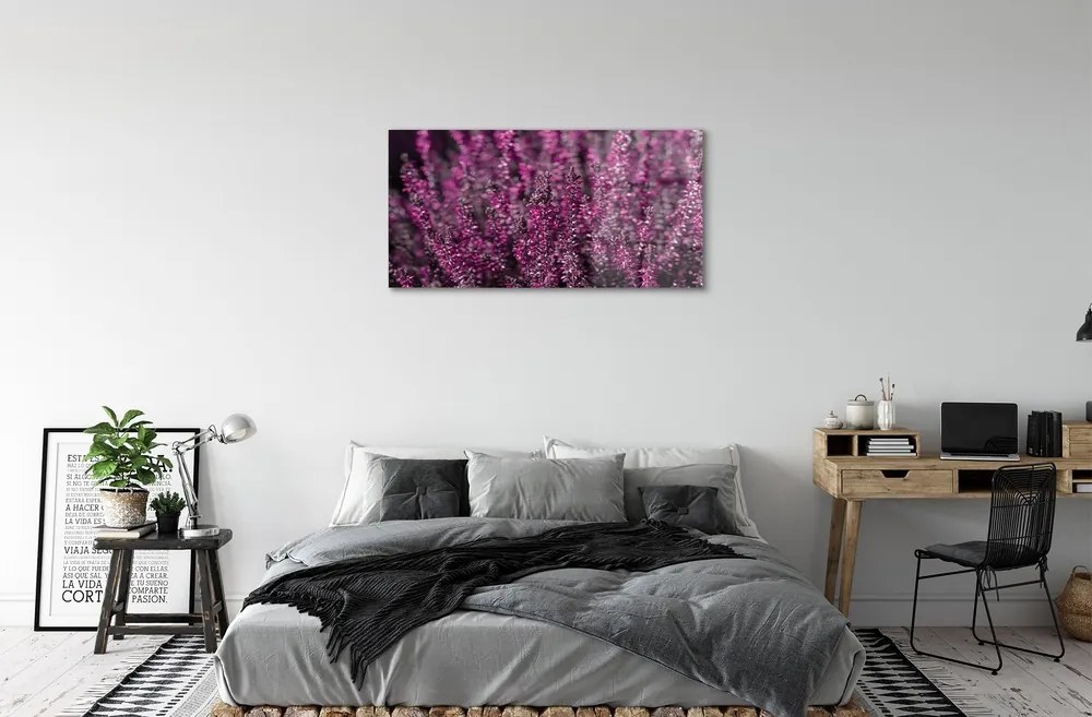 Quadro su vetro Campo di heather 100x50 cm 2 appendini