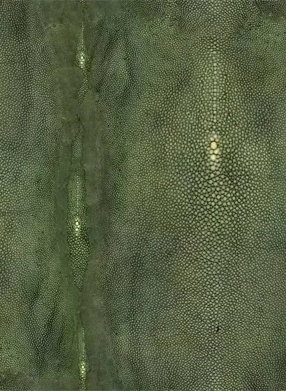 Jean Paul Gaultier Carta da parati Precieux - Vert