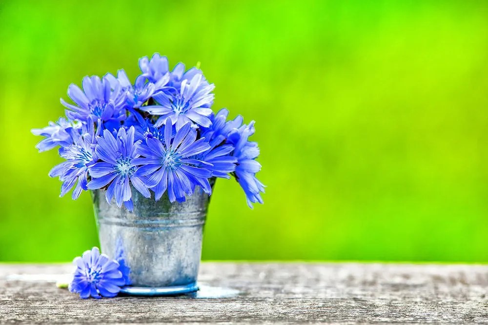 Carta da parati autoadesiva – Fiori nel secchio