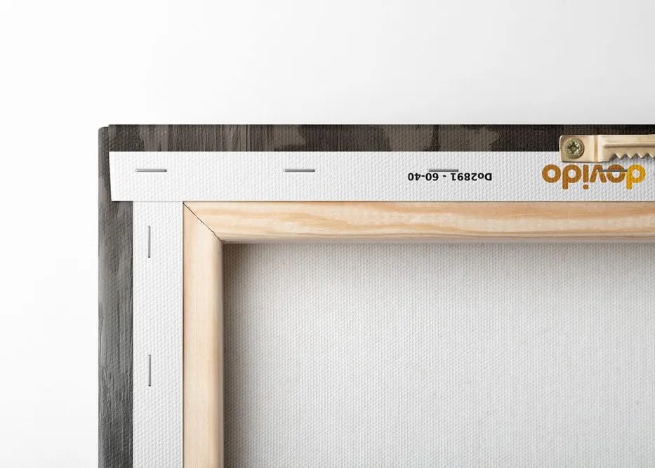 Quadro su tela – Lupo con giornale in bagno