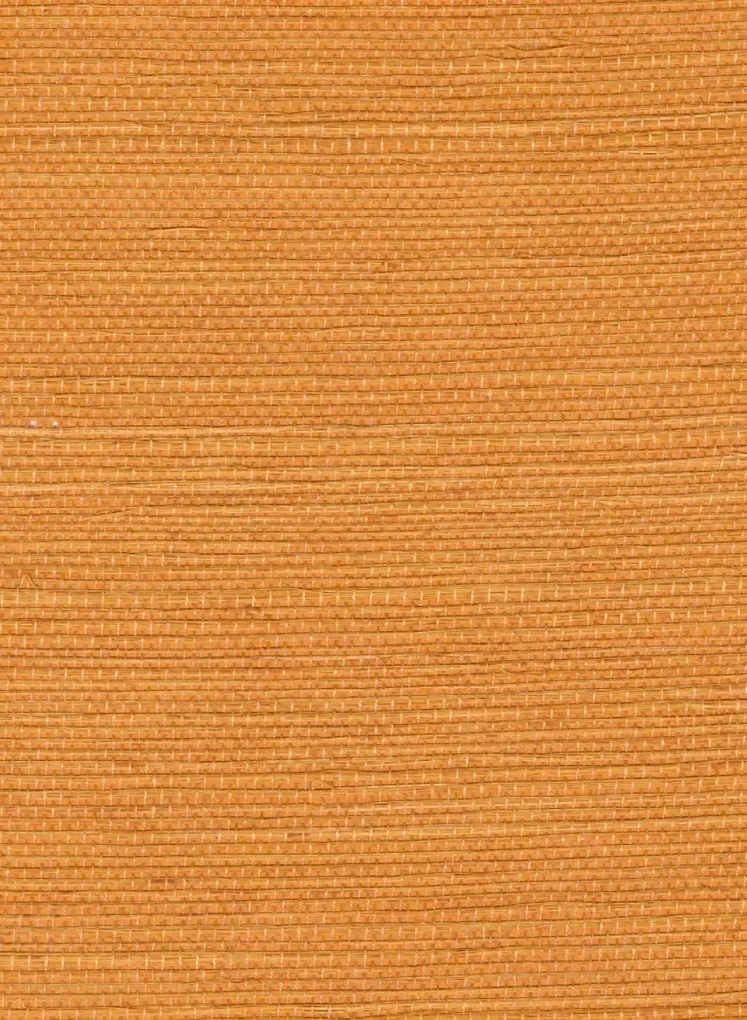 Élitis Tapete Sisal - RM 1069 22