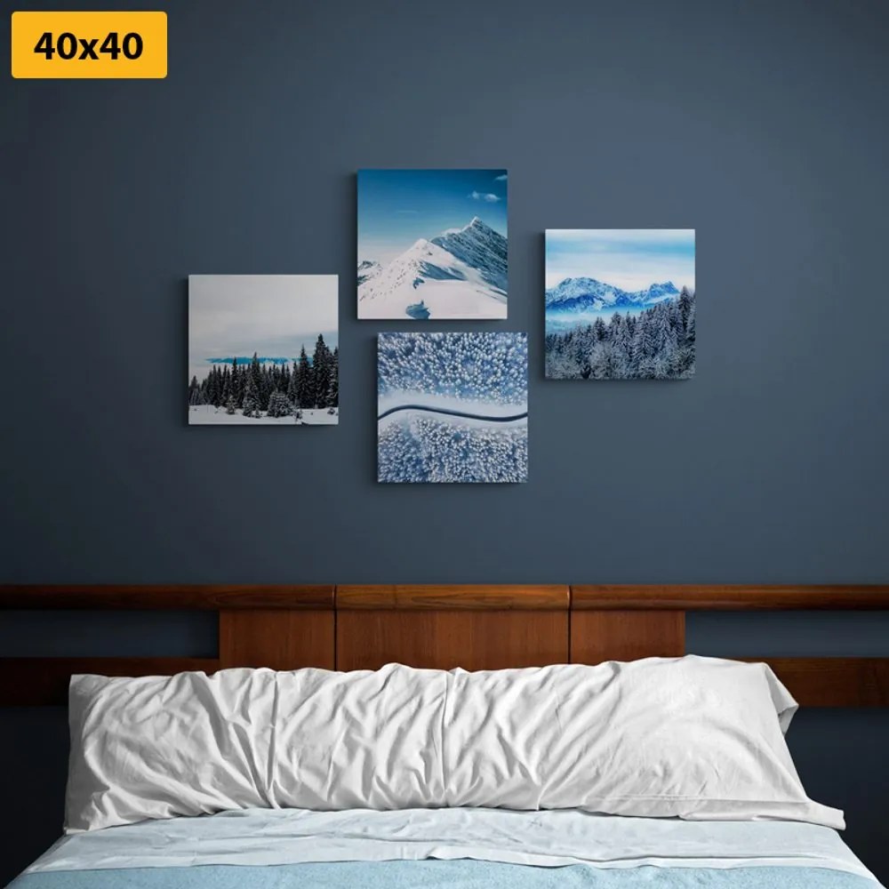 Set di quadri – Bellezze della natura innevata