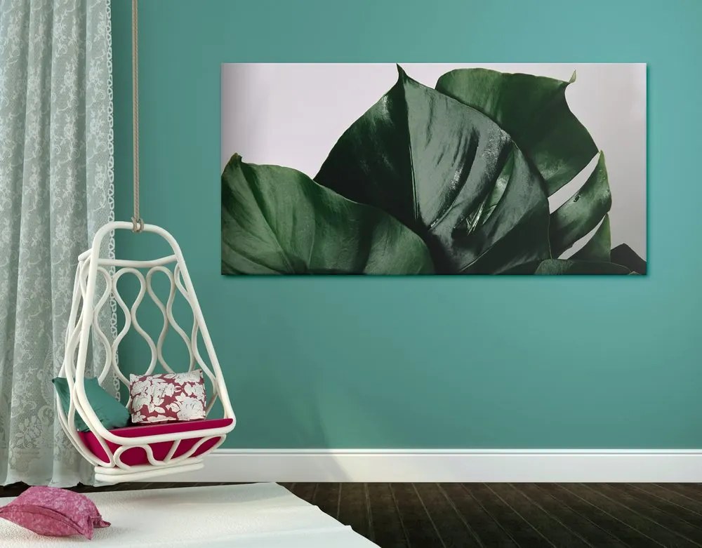 Quadro su tela – Foglia di monstera