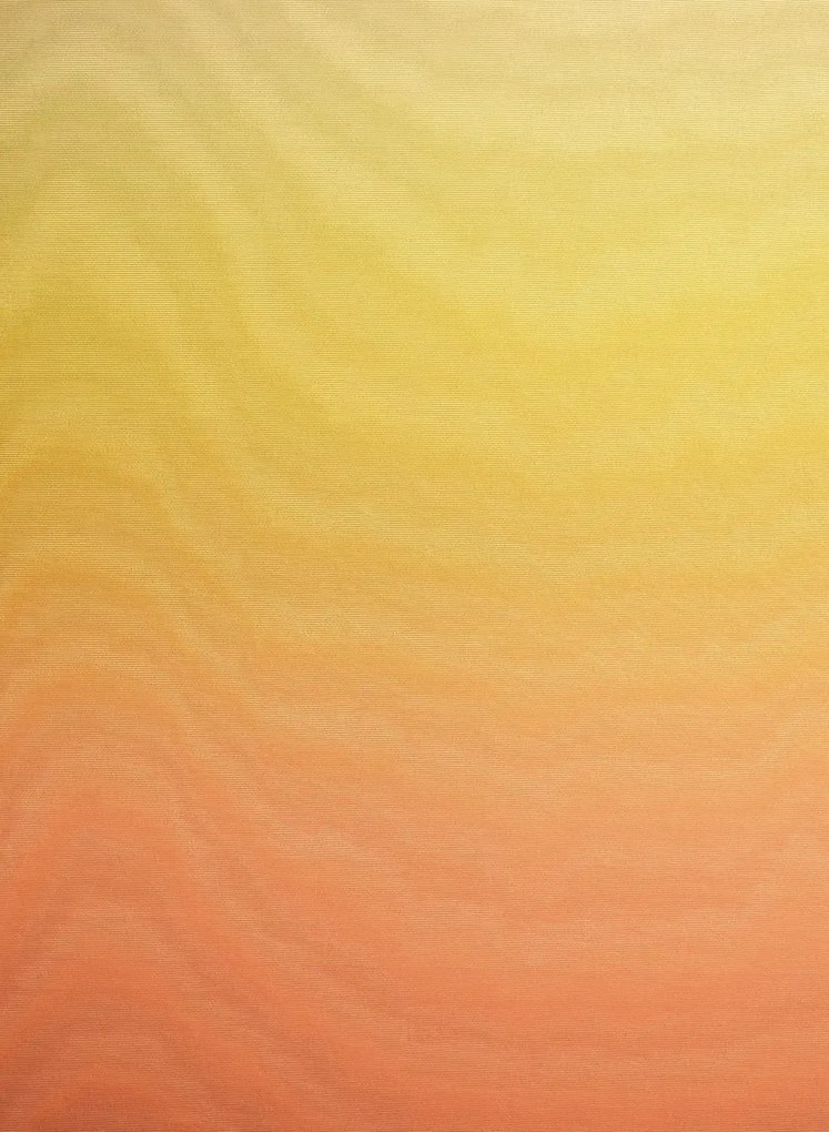 Élitis Carta da parati Plus pur que le soleil - RM 1028 01