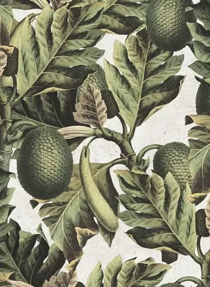 Mindthegap Carta da parati Exotic Fruit I - WP20097