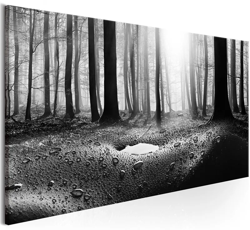 Quadro Forest after Rain (1 Part) Narrow  Colore bianco e nero, Dimensioni e Misure 150x50