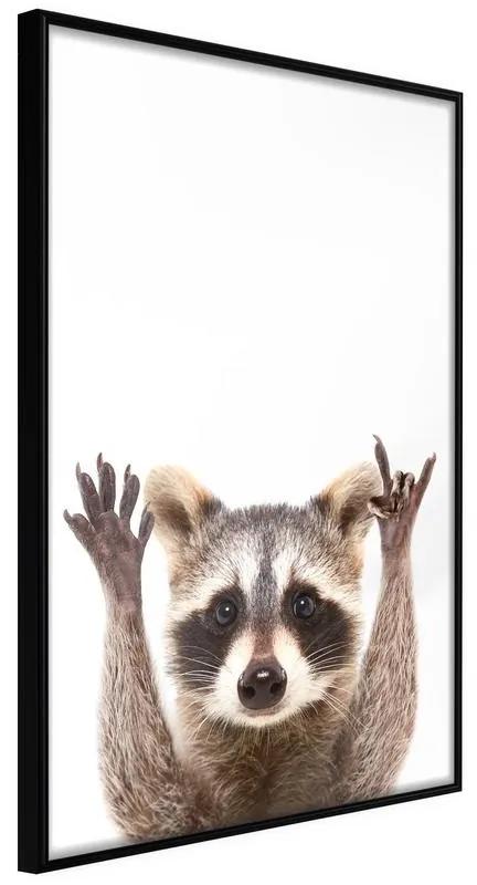 Poster Funny Racoon