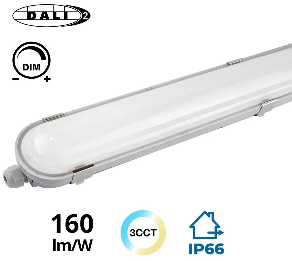 Plafoniera LED 150cm 55W IP66 CCT 8.800lm 160lm/W - con driver Osram Optotronic - Dimmerabile DALI Colore Bianco Variabile CCT