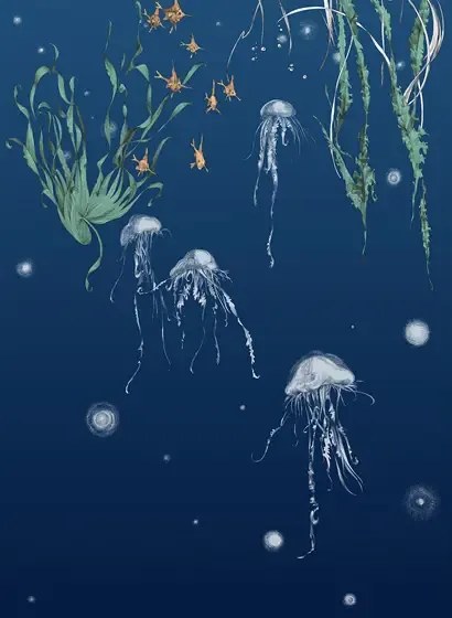 Edmond Petit Carta da parati Nautilus/Méduses/Nénuphars - Marine - Méduses droit - Marine