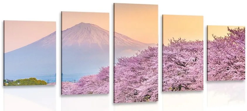 Quadri 5 pezzi – Splendido Giappone
