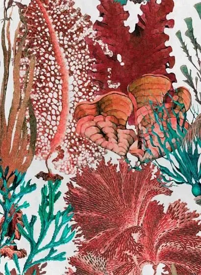 Florale Tapete Coral Reef von MINDTHEGAP - WP20299