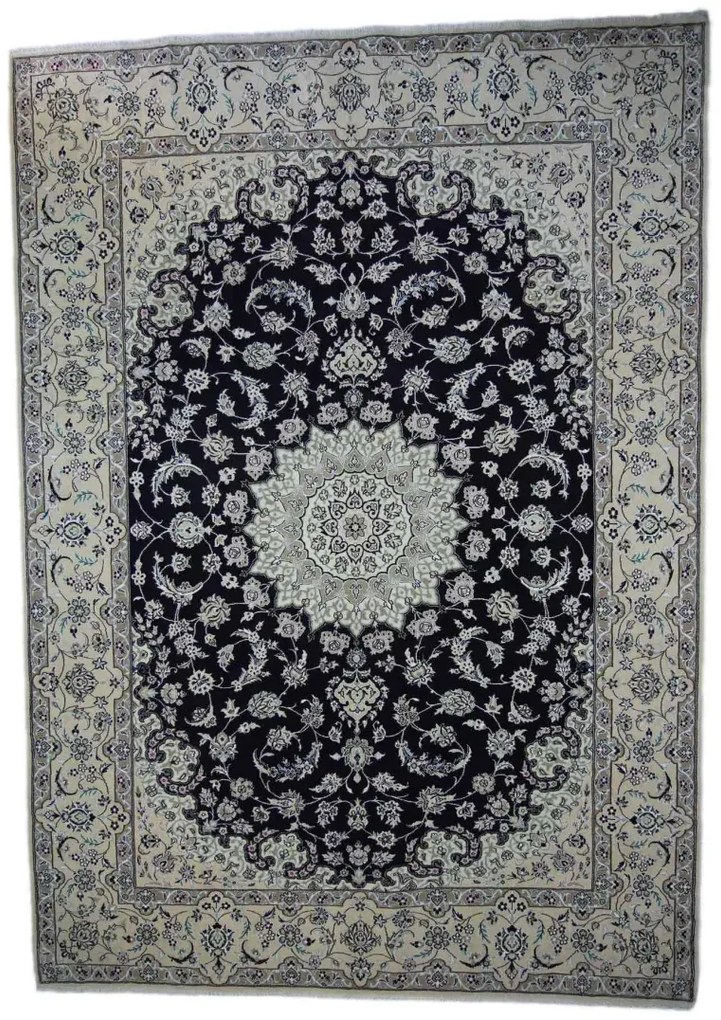 Nain Tappeto persiano 250x350 (Iran)