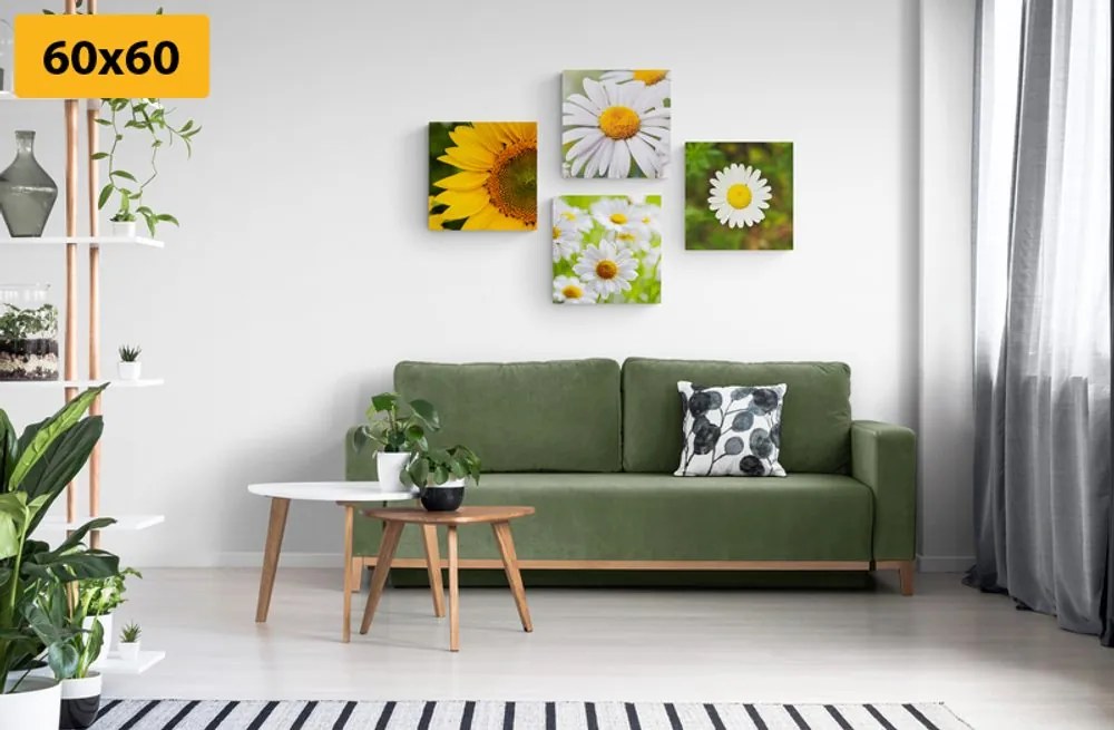 Set di quadri – Fiori di campo