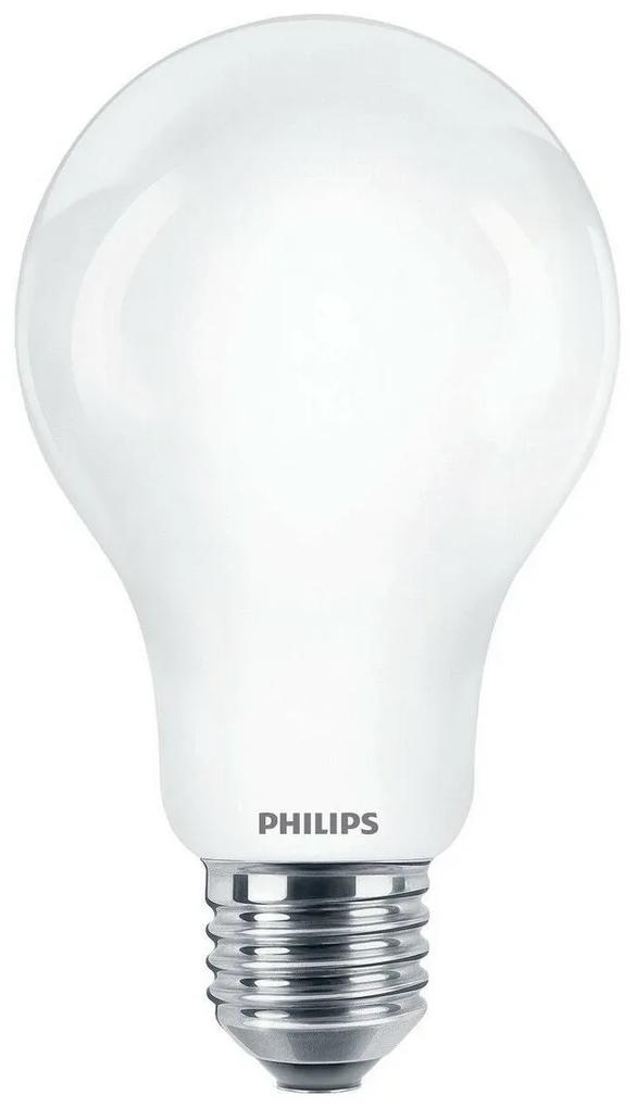 Lampadina LED Philips Standard E27 D 13 W 7 x 12 cm 2000 Lm (6500 K)