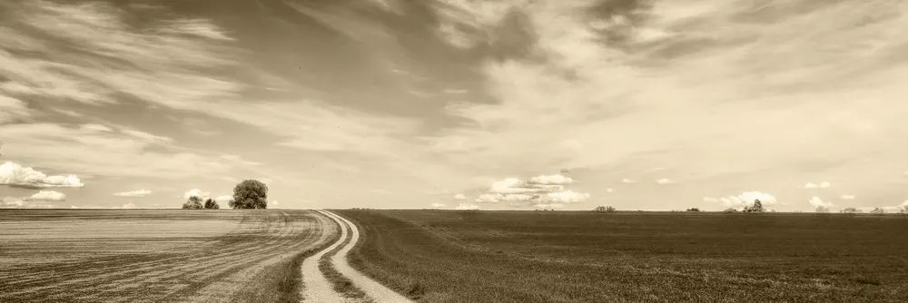 Stampa su tela – Paesaggio incantevole in seppia