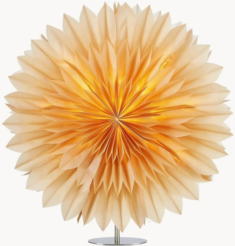 Stella luminosa di Natale Solina