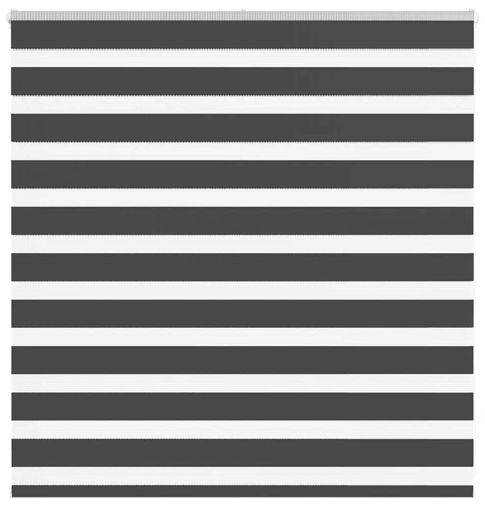 Tenda A Rullo Zebra Nero Larghezza Tessuto 145,9 Cm Poliestere /