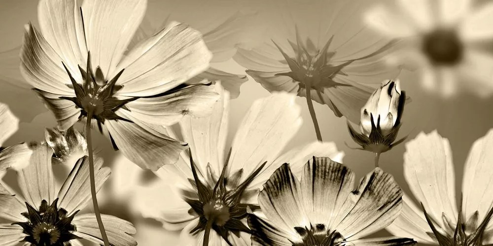 Stampa su tela – Fiori da giardino in versione seppia