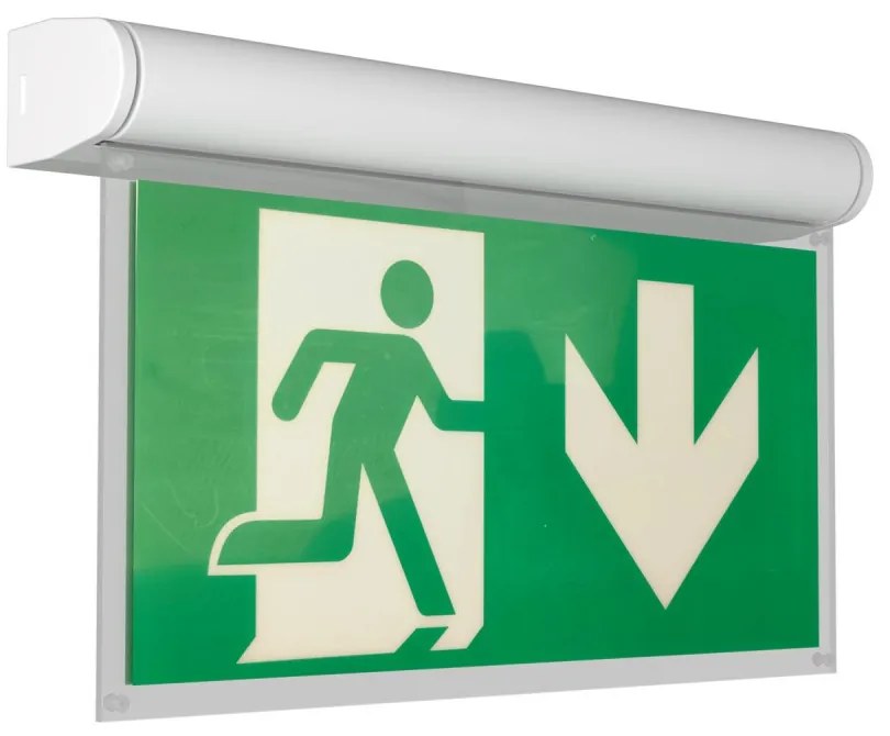 Lampada Emergenza a Bandiera, 3h, S.E S.A Cinema Mode - Bianca o nera Colore Bianco Freddo 6.000K, Colore del corpo Bianco