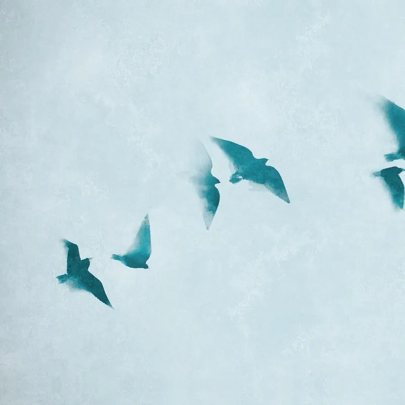 Fotomurale Migration, multicolore 371X280 cm