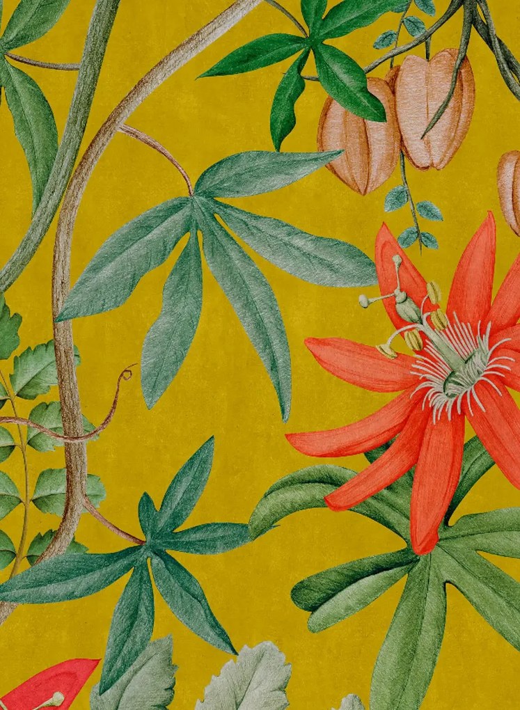 NLXL Carta da parati Passiflora - UON-13