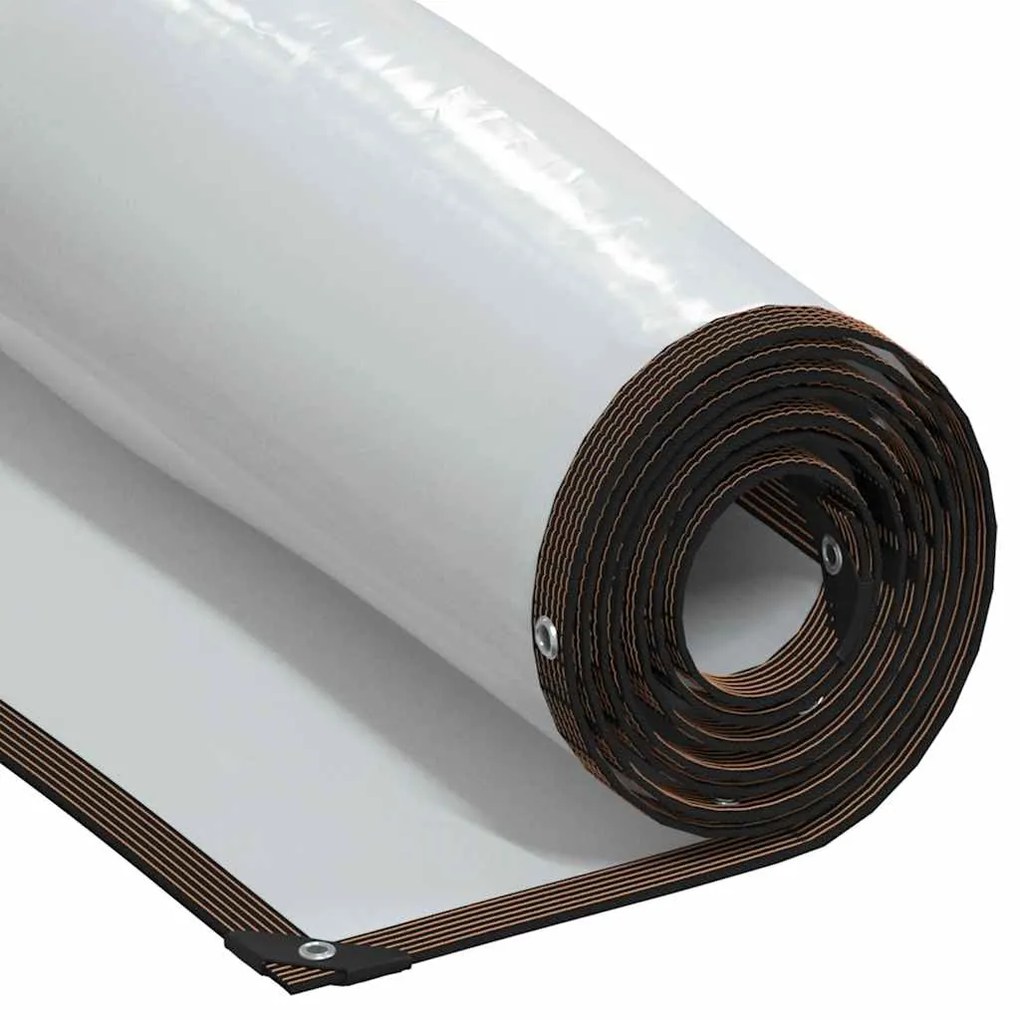 Telone Trasparente Con Occhielli 3x8 M İn Polietilene /