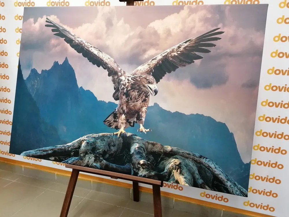 Stampa su tela – Aquila con ali spiegate sopra le montagne