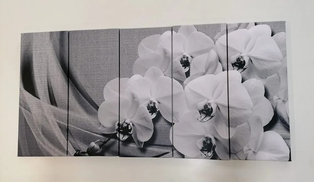 Quadri 5 pezzi – Orchidea su tela in bianco e nero