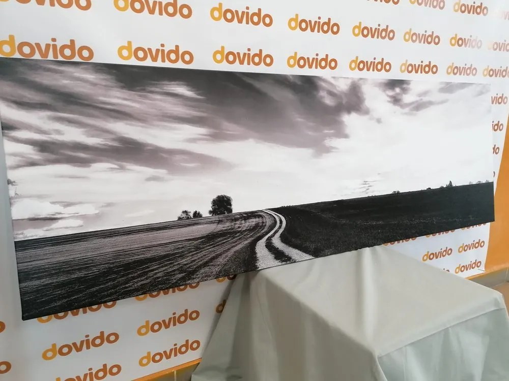 Quadro su tela – Paesaggio incantevole in bianco e nero