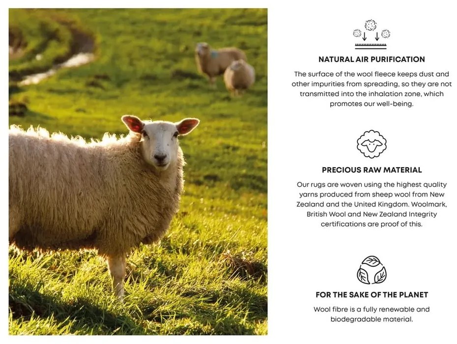 Tappeto in lana rosa-beige 200x300 cm Braque alabaster - Agnella