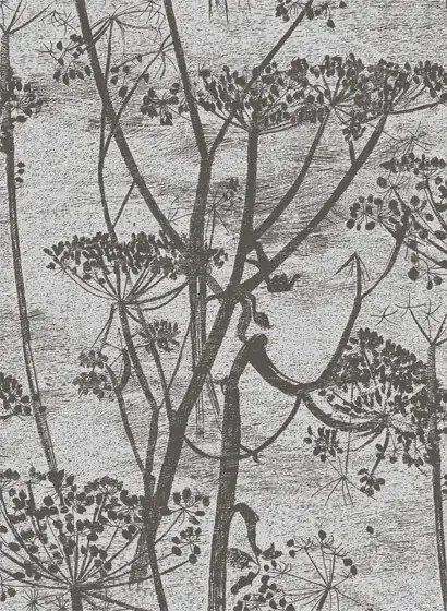 Cole & Son Carta da parati Cow Parsley - Gilver on Black
