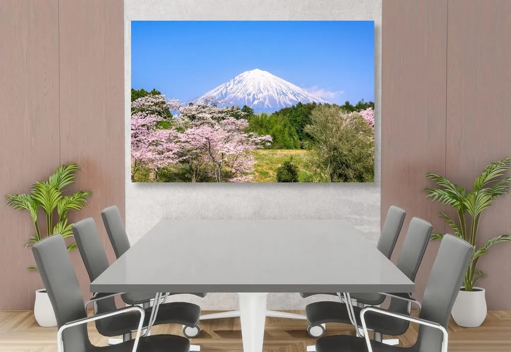 Stampa su tela – Vulcano Fuji