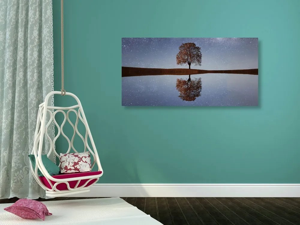 Quadro su tela – Cielo stellato sopra un albero solitario
