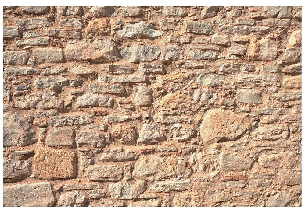 Fotomurale – Muro di pietra