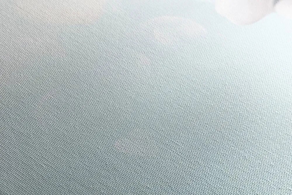 Quadro su tela – Angioletto