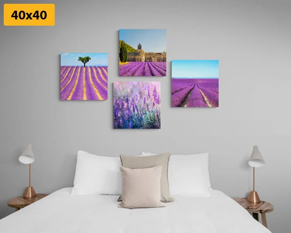 Set di quadri – Campo di lavanda