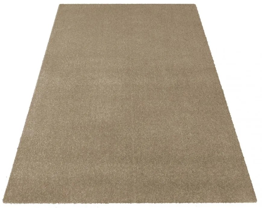 Tappeto beige Larghezza: 120 cm | Lunghezza: 170 cm